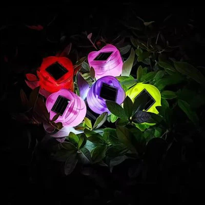 Dwal tal-ġnien tat-tulipani solari